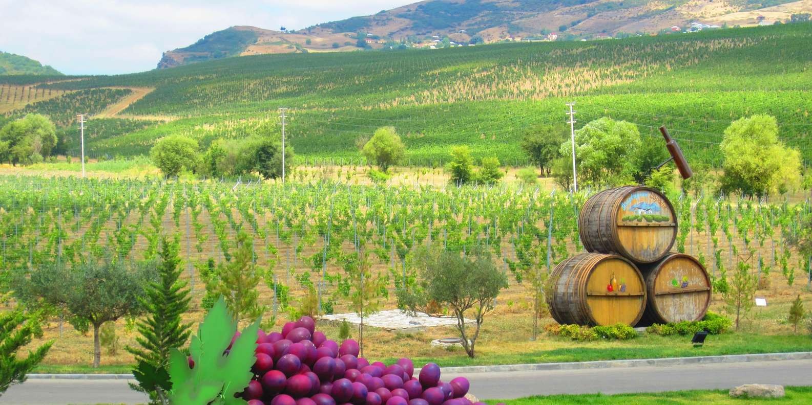 Discover Meysari: Wine, Nature, and Tradition-Signature Package  -4 PAX